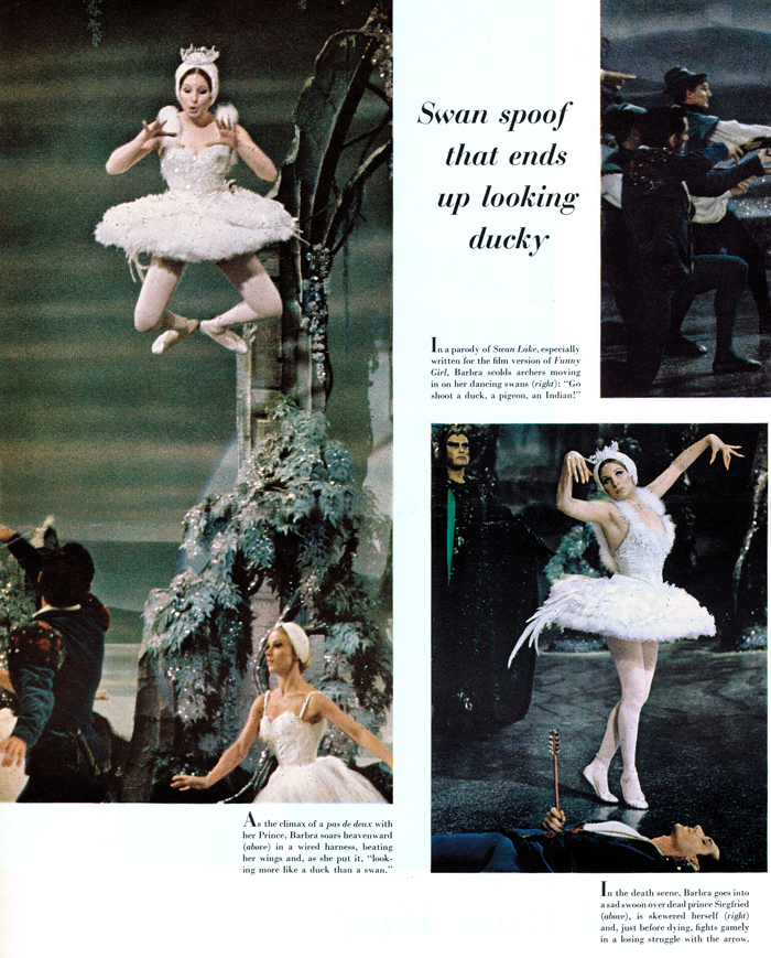 Swan spoof that ends up looking ducky