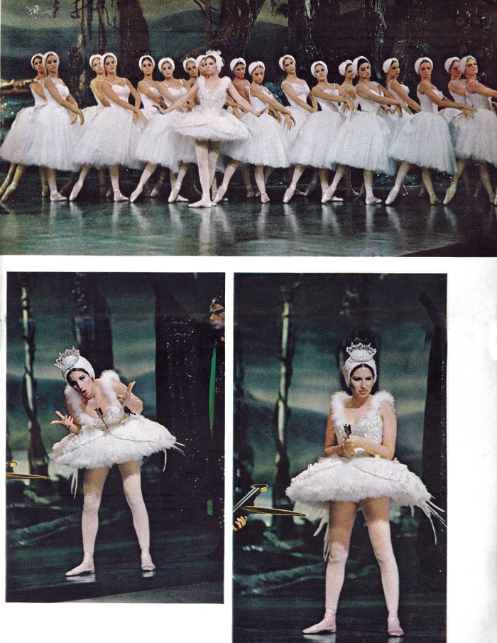 Swan Lake photos