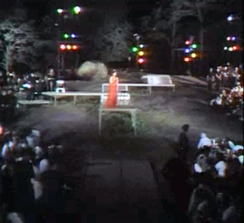 Last shot of Central Park concert